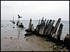 Great Lakes Cleanup Could Take 77 Years
