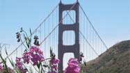 Your travel photos