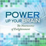 Power Up Your Brain - Perlmutter and Villoldo