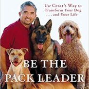 Be the Pack Leader - Cesar Millan