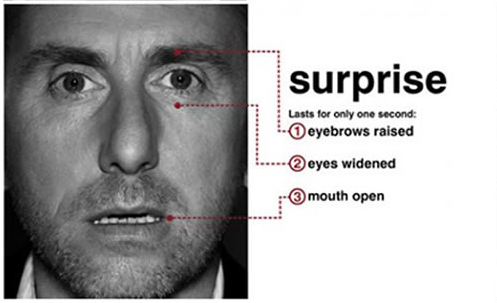 microexpressions_surprise