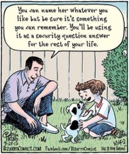 Answering those pesky security questions
